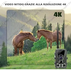 CAMERA 4G indipendente sorveglianza scatti faunistici
