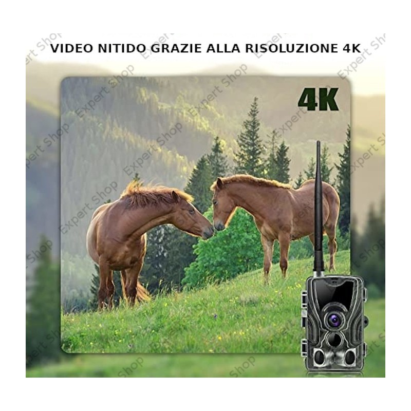 Fototrappola 4G Live APP HC-801 PRO - 36MP, Video 4K, LTE SIM, Sorveglianza Per Caccia E Sicurezza
