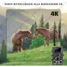 CAMERA 4G indipendente sorveglianza scatti faunistici