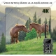 FOTOTRAPPOLA LIVE 4K APP LITIO 30MP 4G HD MIMETICA video SPIA MMS INFRAROSSI