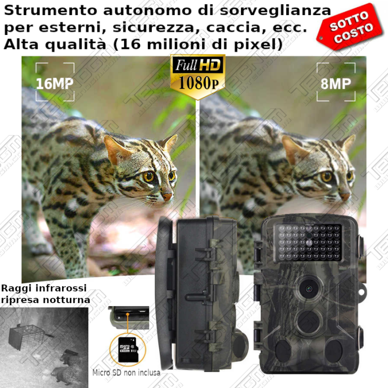 FOTOTRAPPOLA CAMERA VIDEO caccia FOTO CASA HD SPIA LED IR FOTOTRAPPOLA CAMERA VIDEO caccia FOTO CASA HD SPIA LED IR