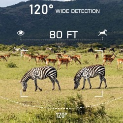 Camera 2 obiettivi visione notturna 4G invio scatti su APP